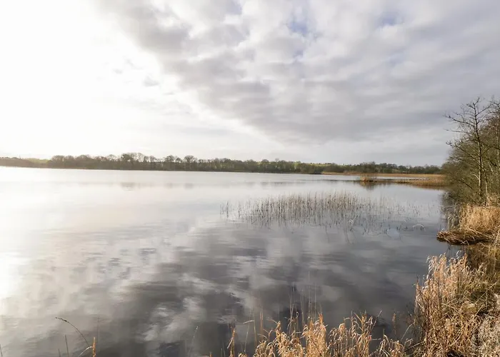 The Water's Edge